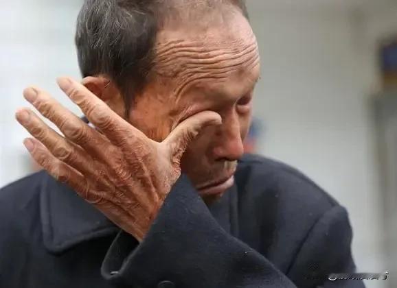 甘肃陇南，一老农上山采药时，发现3株“奇特”小树苗，将它拔出后，栽进了家里的花盆
