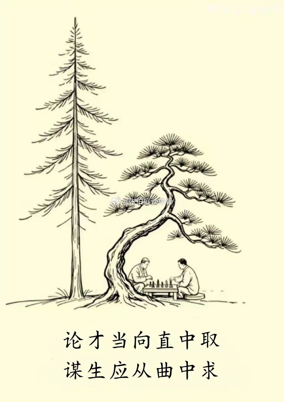 直木成材，弯木成景。人生百态，各有归途。木以不材得终其天年，人以无为而成其有为。