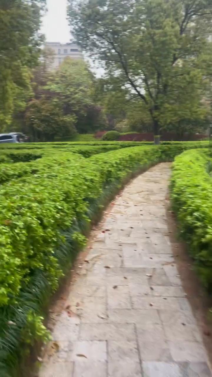 出门晨练，昨天还是大雨淋漓，今天已经阳光明媚。清明节的天气真是阴晴不定。