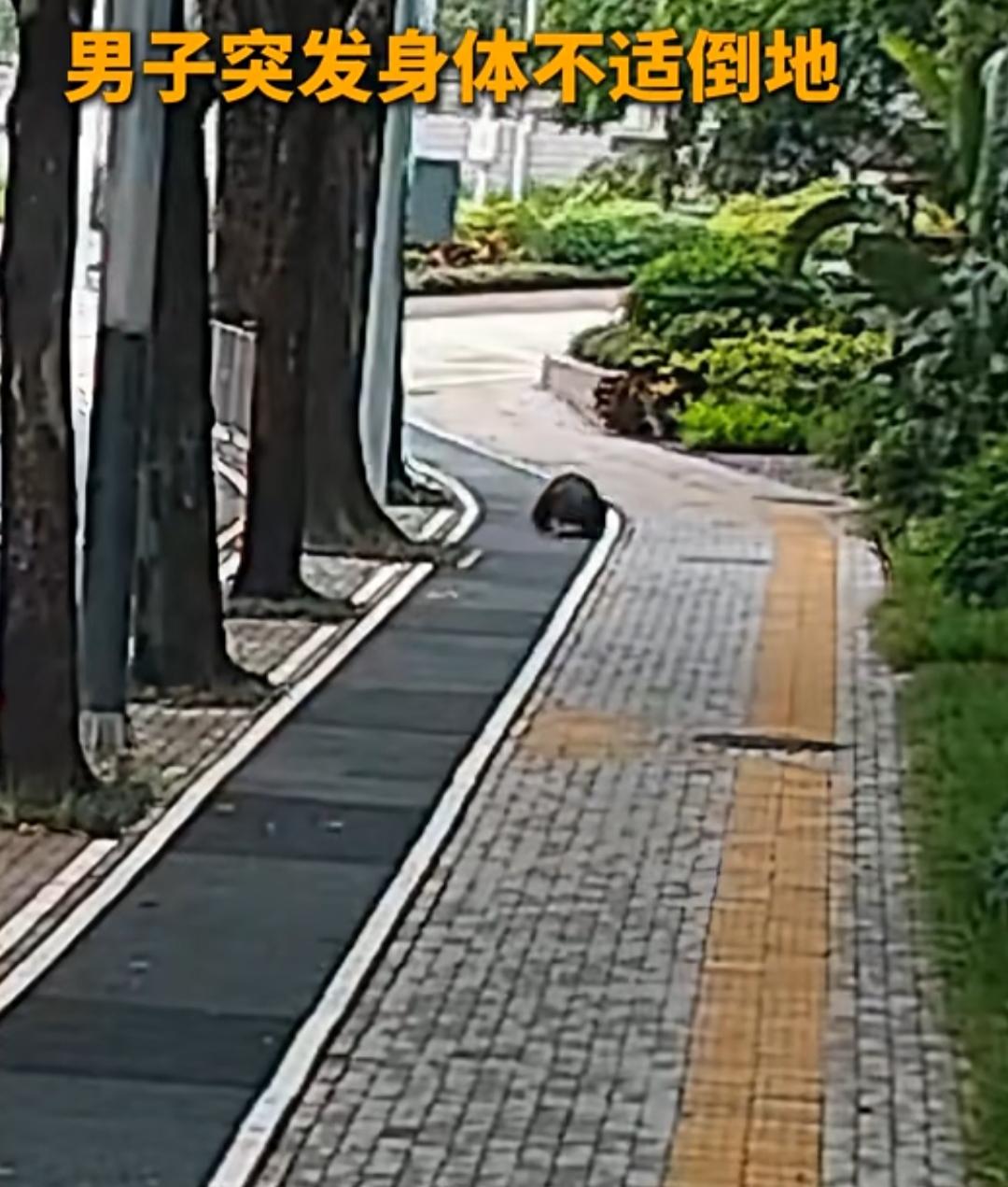 深圳街头，车流不息的人行道上，一位市民突然身体不适，直直栽倒在地，失去了意识。路