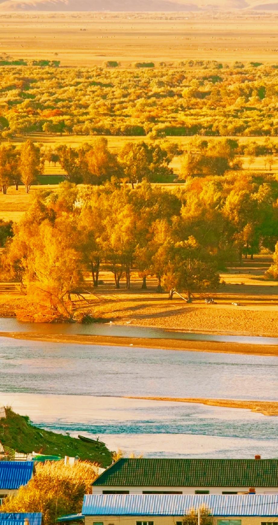 少来夫妻，老来伴，来个～屁～啊
中年夫妻天天不说一句话，话说上半句就吵架。手机是