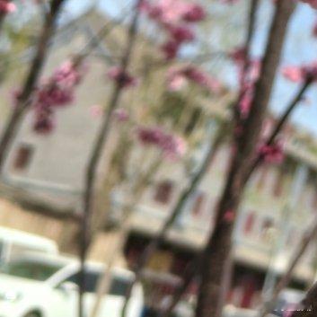 我们终其一生都在寻找归属感，后来才明白，真正的归属感，不在别人的偏爱里，而在自我