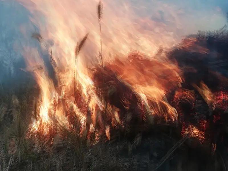 突发！特朗普下死命令：今天必须赦免以色列总理，否则直接断交！
 
家人们别划走！