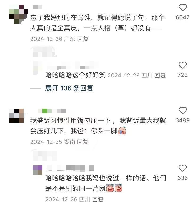 爸妈才是天赋型怼人高手 