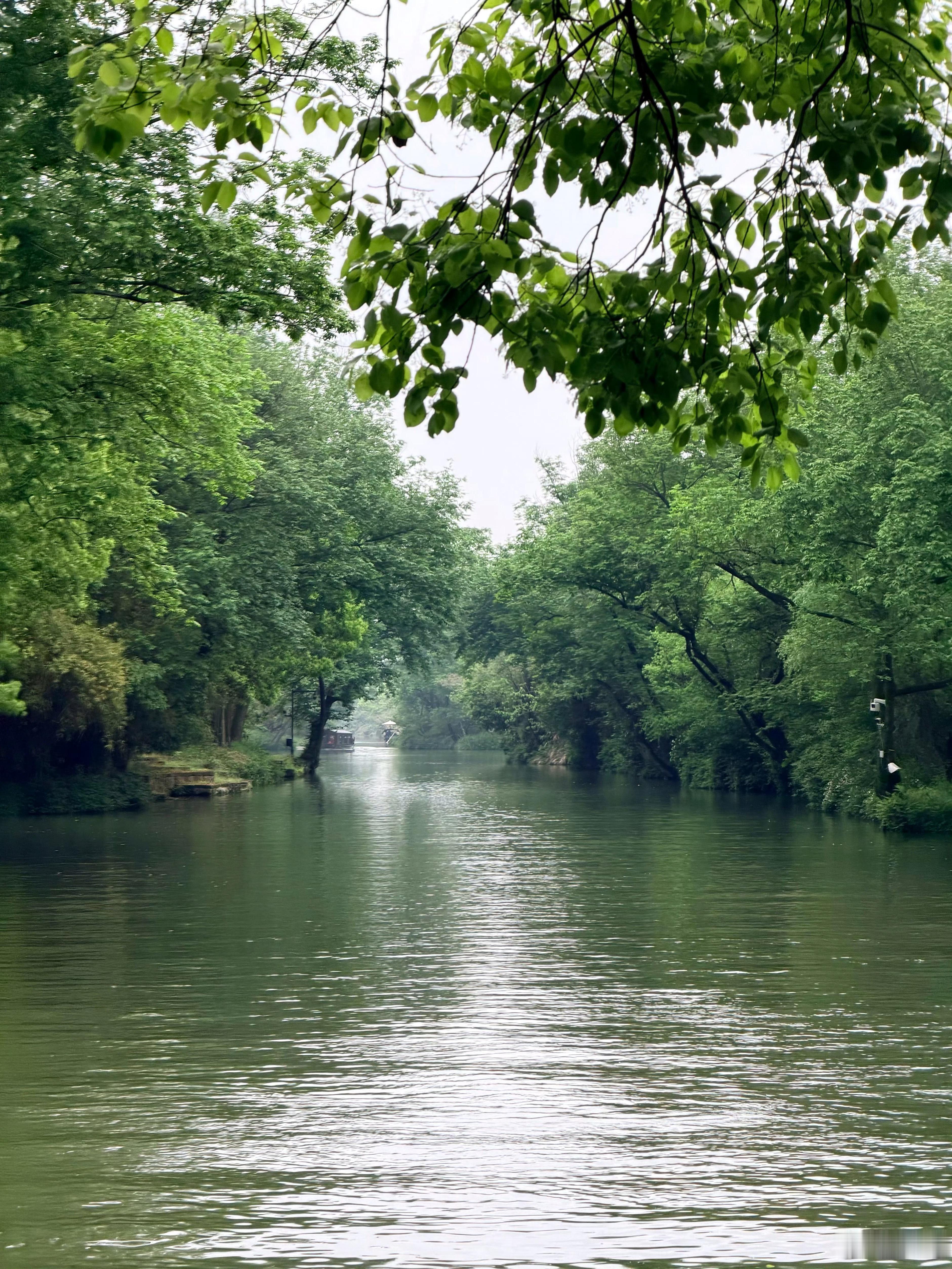 相亲局容易让人感到无力的，往往不是有多「奇怪」，而是真实过头了上回我一个脱单需求