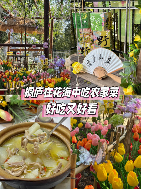 桐庐山顶聚餐🌷郁金香花海美疯谁懂！