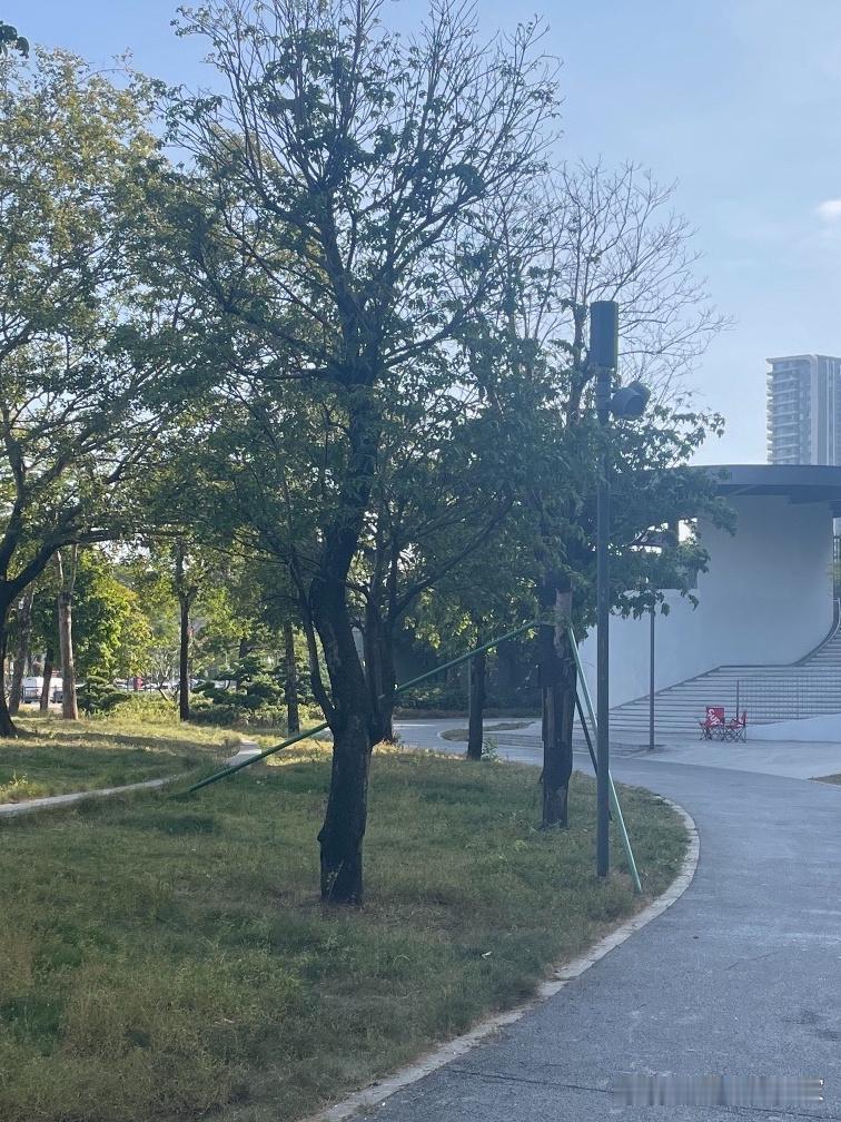 春日漫游指南｜江夏公园西区跑步散步新地标

🌼春日的江夏公园西区，藏着城市人私