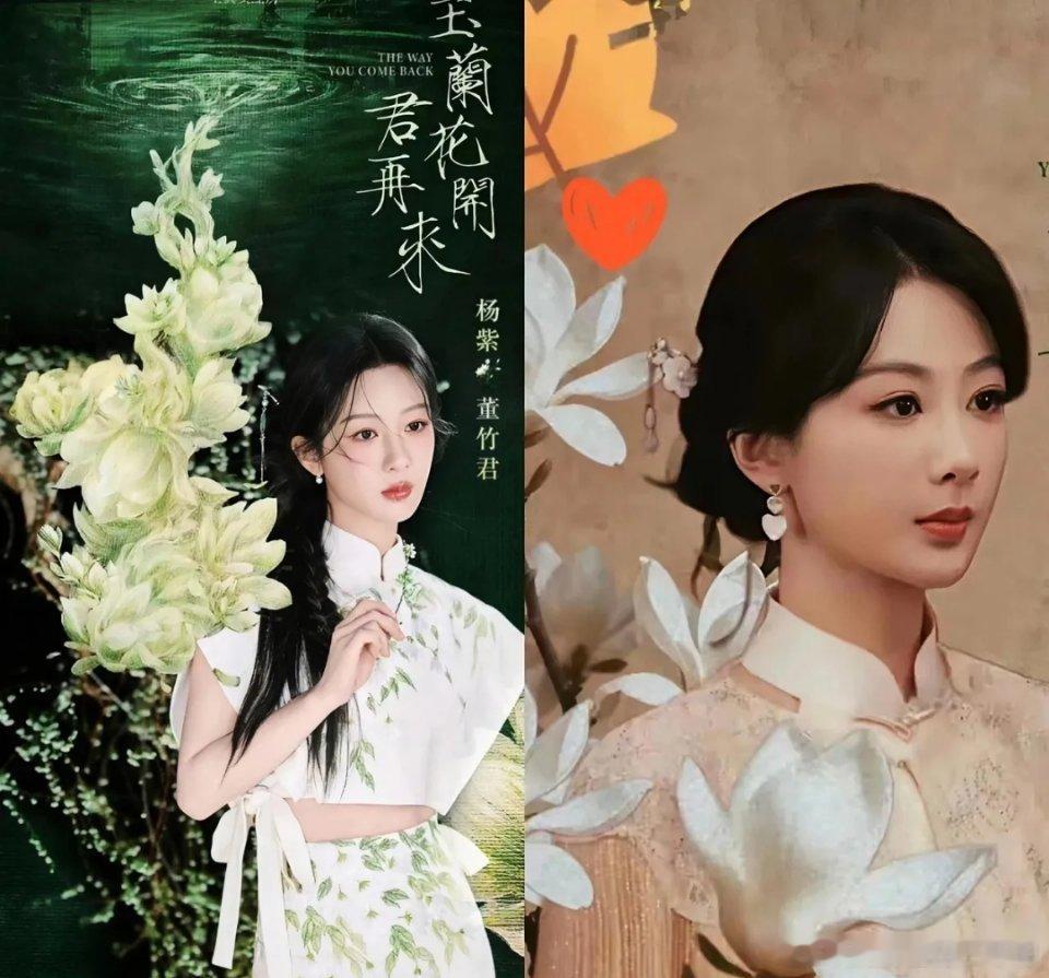 杨紫啊杨紫，咋说你好呢？同期小花没活干，你愁档期排不开。一部接着一部，资源好的让