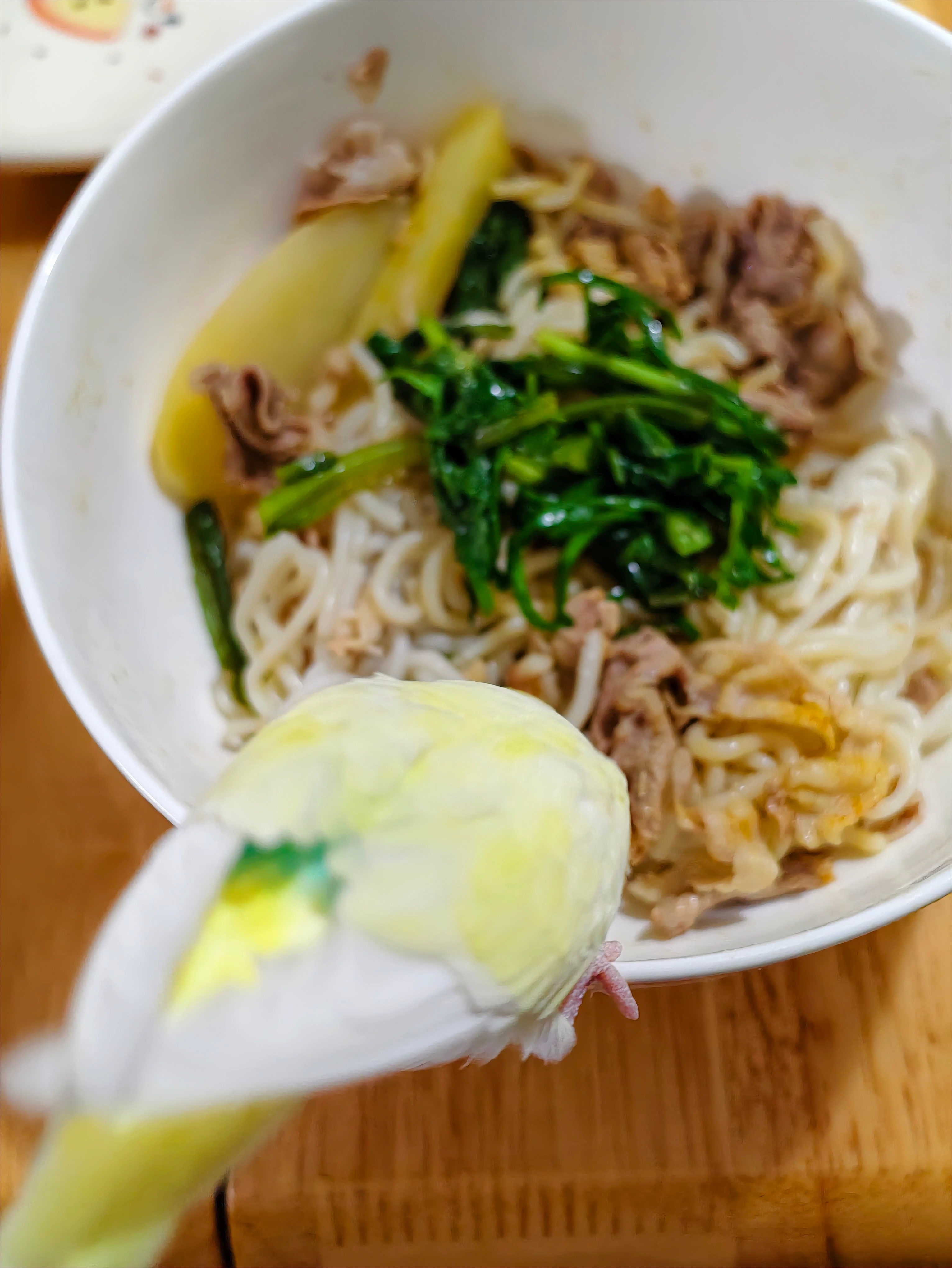 小蓝要是也这么脸皮厚就好了鹦鹉小蓝和布丁