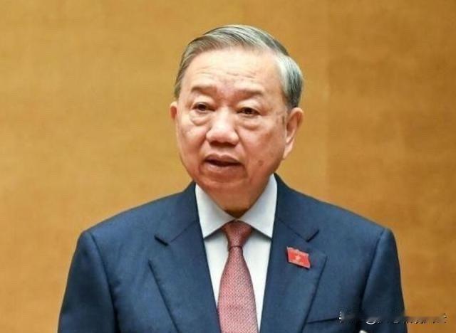 看惯了国际舞台上各种“前脚刚握手，后脚就转身”的桥段，这次越南的操作还真带点意思
