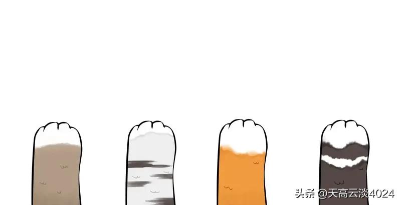 猫界有没有毛色鄙视链 养猫圈里老在讨论猫界有没有毛色鄙视链。有人觉得某些毛色高级