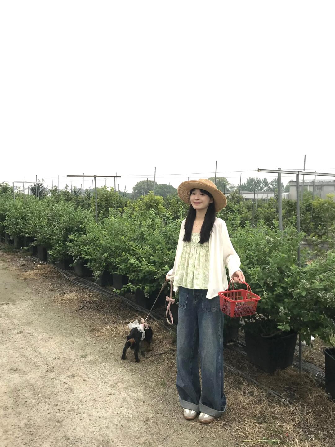 小狗也爱吃蓝莓吗