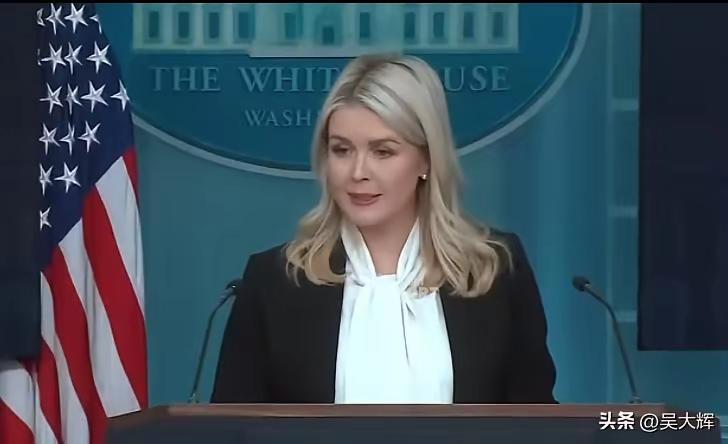 台面上所有的优雅，都被这一句话剥去了华丽的外衣，包括比基尼底裤。
     美国