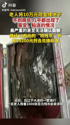 “这下后悔了吧！”辽宁大连，一老人将10万元现金埋在地下，不到2年的时间，几乎都