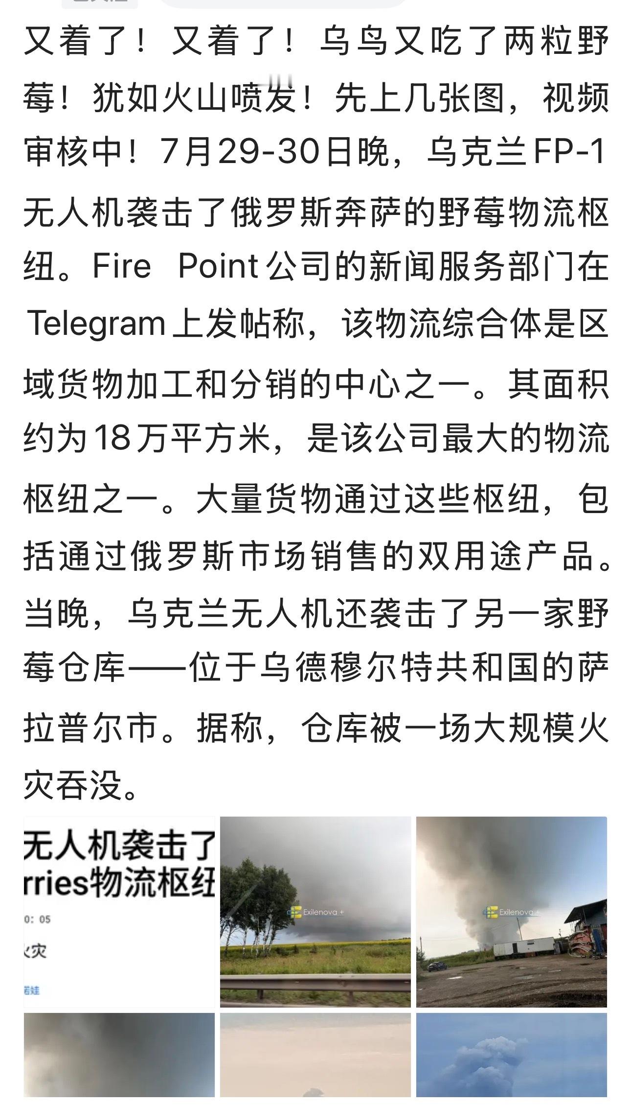 小鸟（无人机）又吃两颗野莓。。。俄乌战争