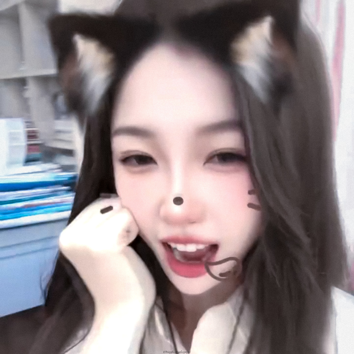 猫猫还是妈妈😋 