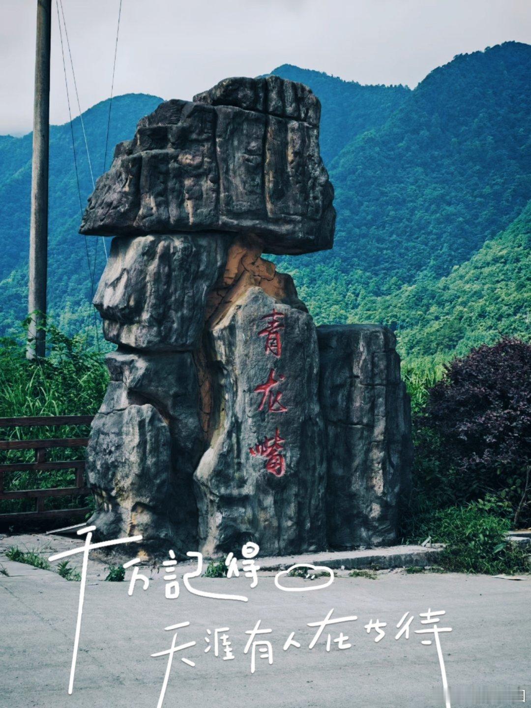 随手拍
