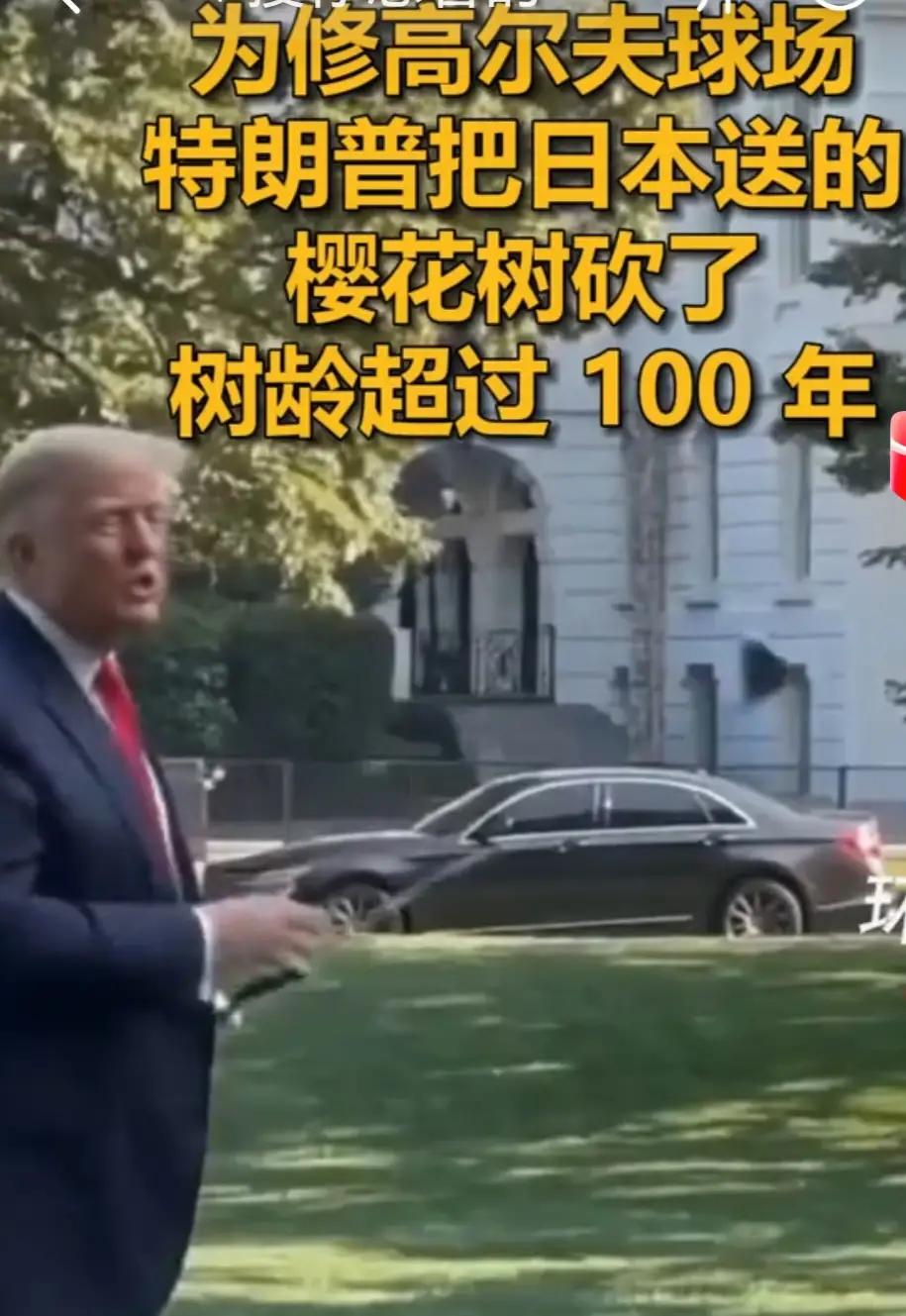 日本赠送给美国的百年樱花树被砍掉了，日本官方保持沉默。

《印度斯坦时报》8月3