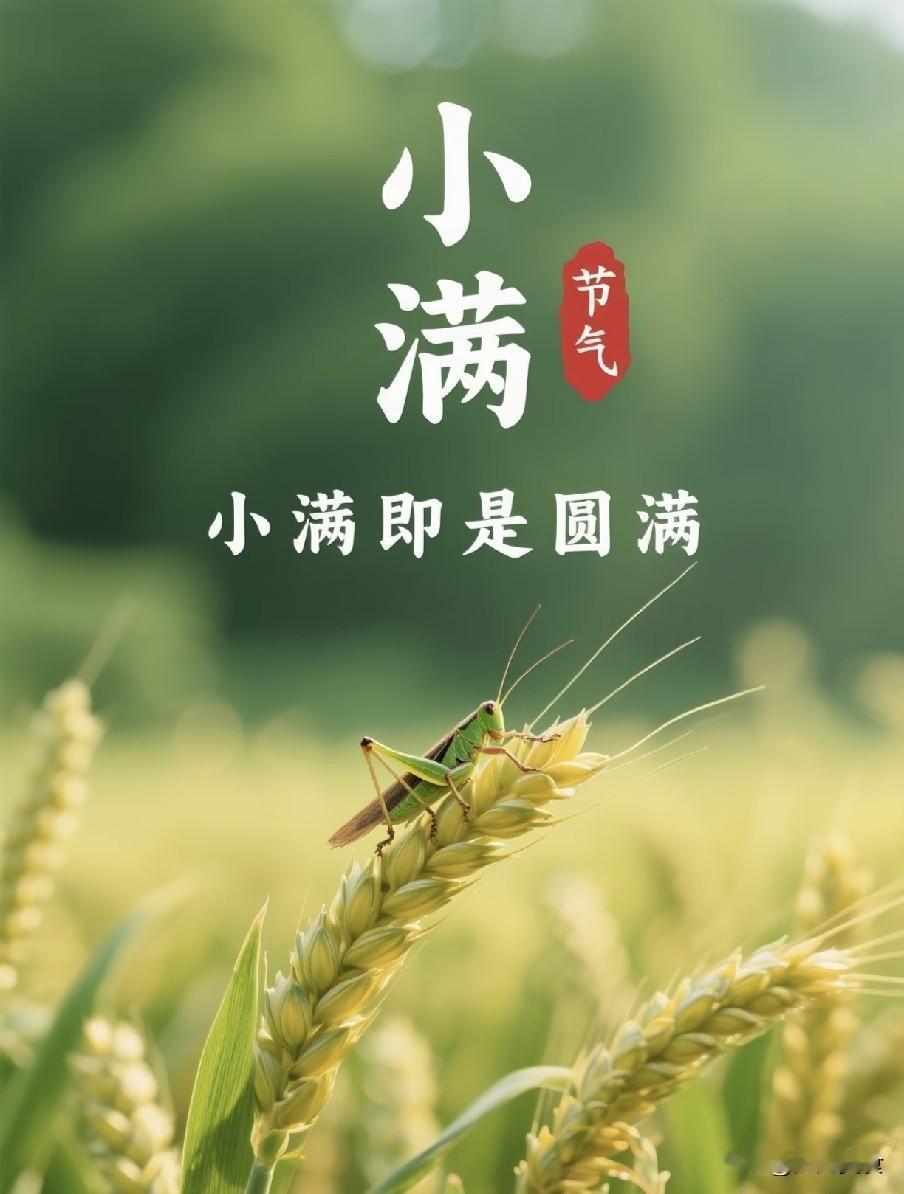 今日小满，老人说最怕“小满一日雨”，今日下雨有啥预兆？早了解
 
今日迎来二十四