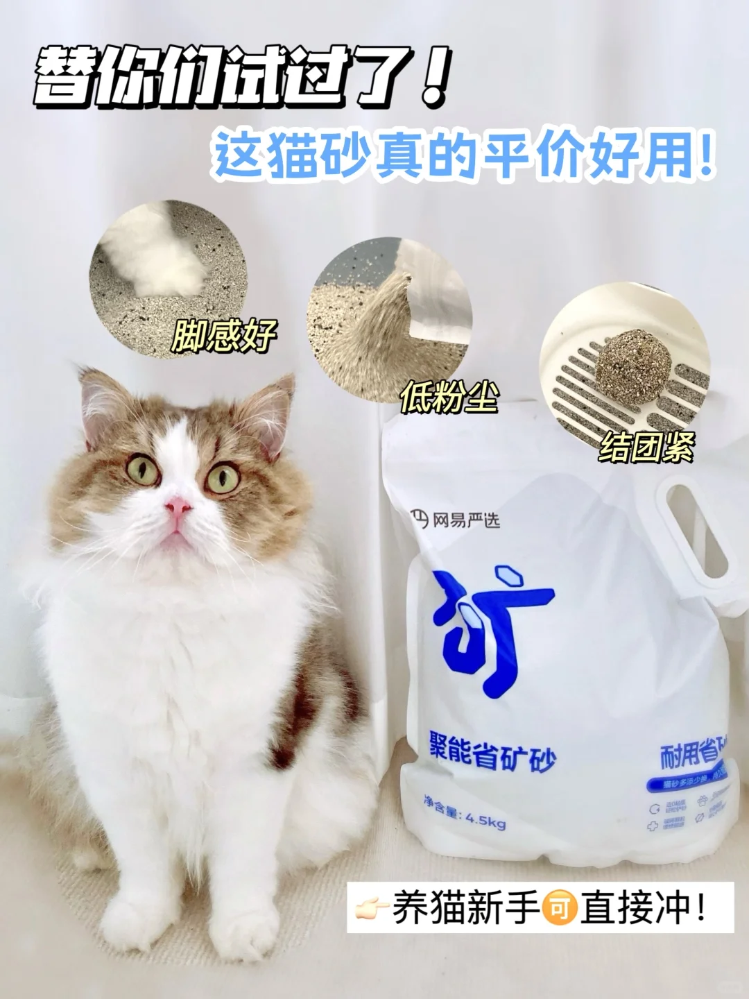 替你们试过了，这猫砂是真的平价又好用