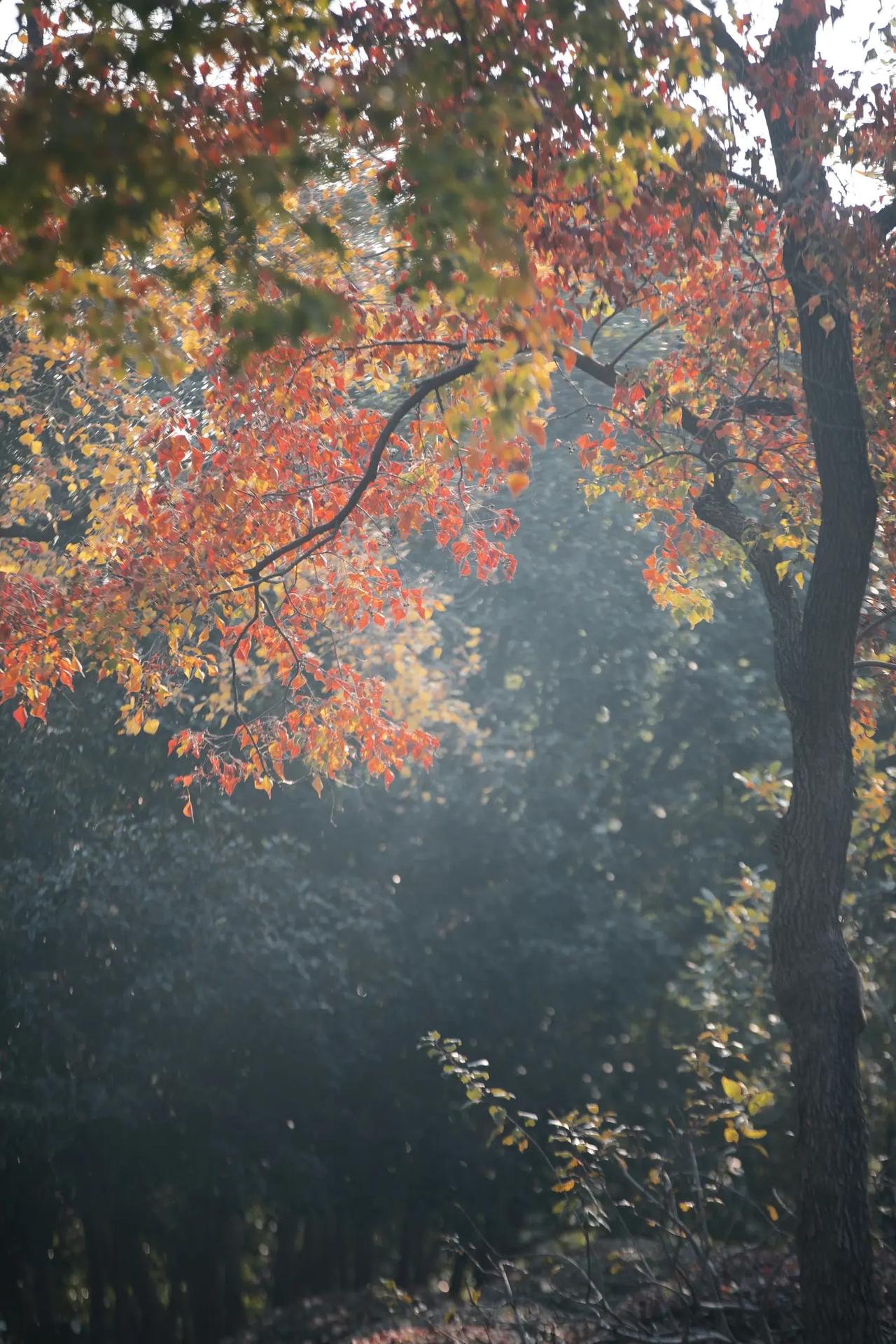 饿时馒头贵，
饱时玫瑰香。
人生最无常，
珍惜碗中汤。
你看说的多好，放在我们的