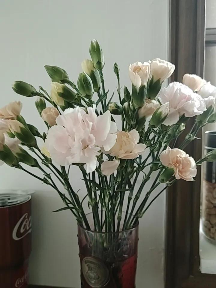 你知道怎样处理家人之间的关系吗？
今天看了一个博主分析他和爱人相恋-结婚-分居后