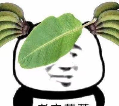 🦟料，mjl是新设计总监自己给的，听说十分挑剔，他看不上的人，别人说再多他都不