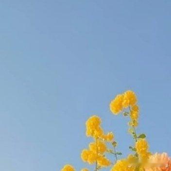 每日一善每日‬一善 阳光信用  人生的道路从来不会一成不变，有坦途，也必然有曲径