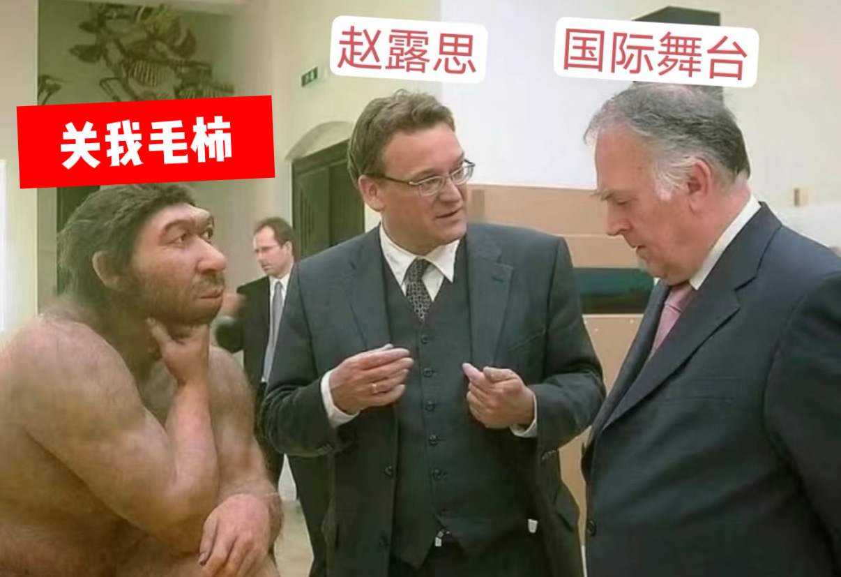 哈哈哈哈哈 ​​​