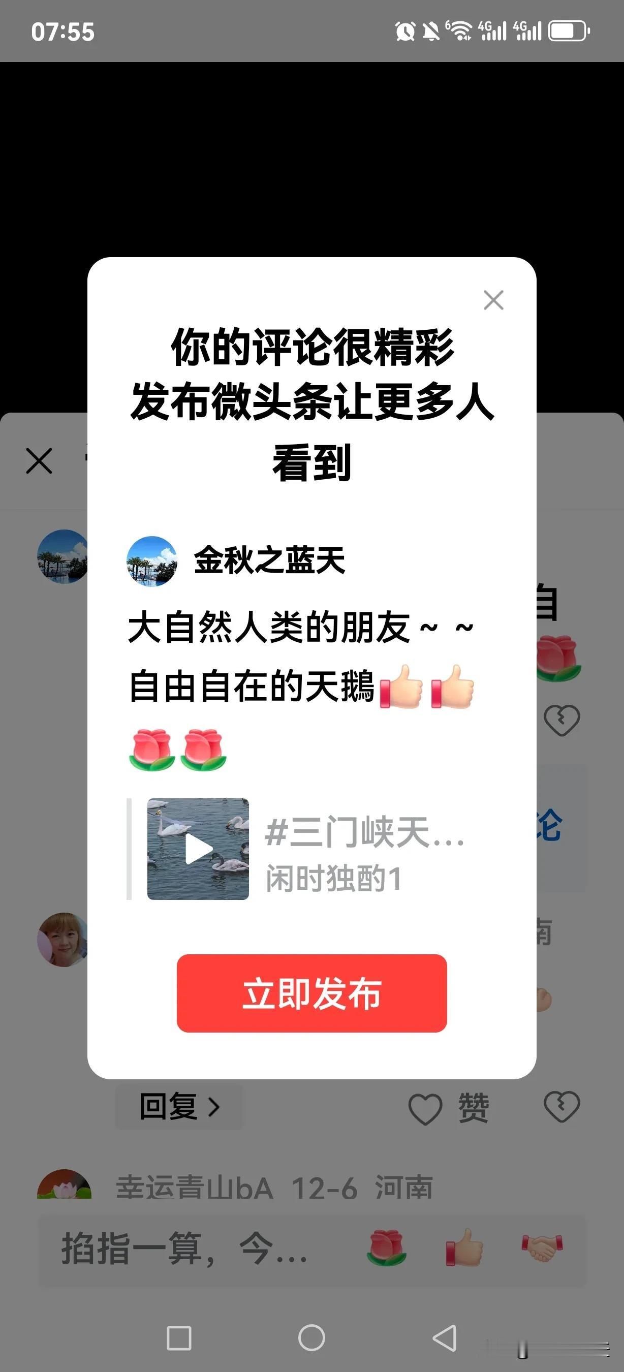 大自然人类的朋友～～自由自在的天鵝[赞][赞][玫瑰][玫瑰]