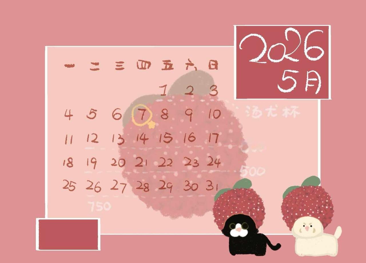 5月