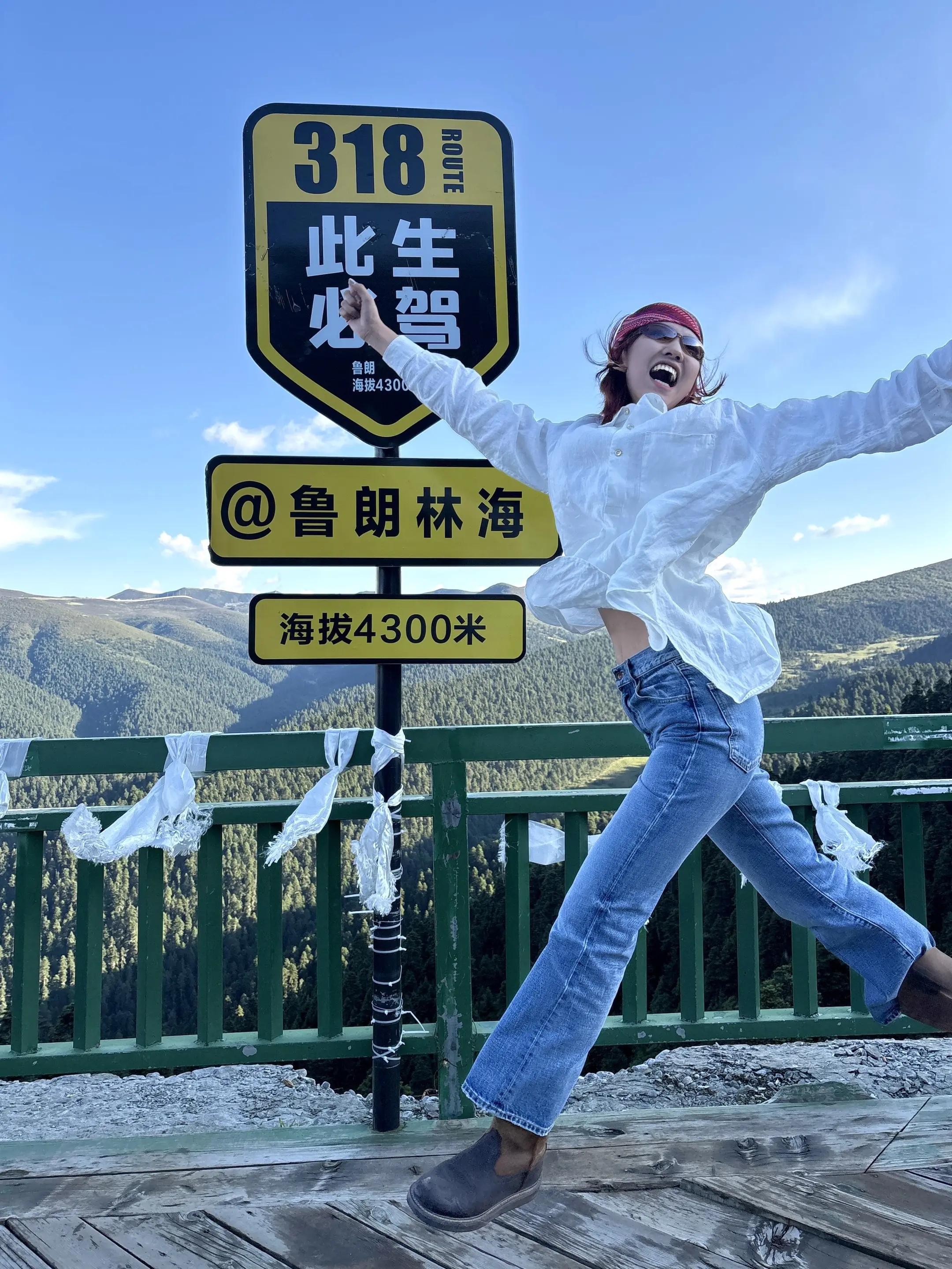西藏是种病 不去治不好。