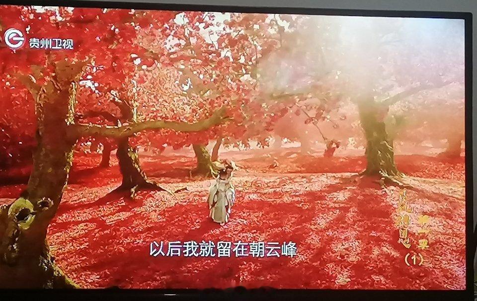 小夭力气好大背着哥哥走这么远的路