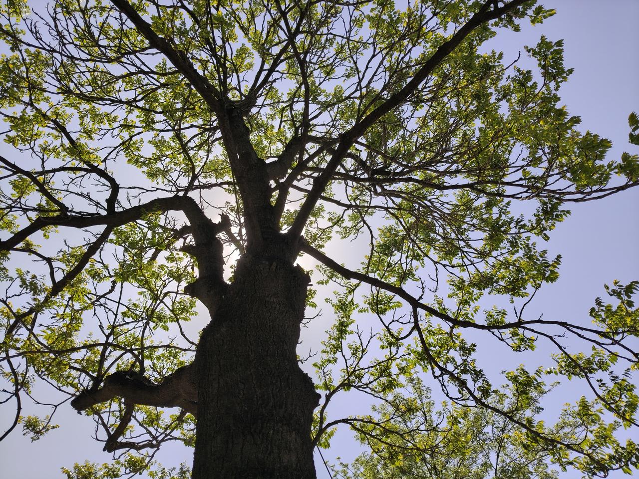 睡的正香，被同事近距离叫醒！
  早上五点二十左右，一位室友走到我床前，问我上什