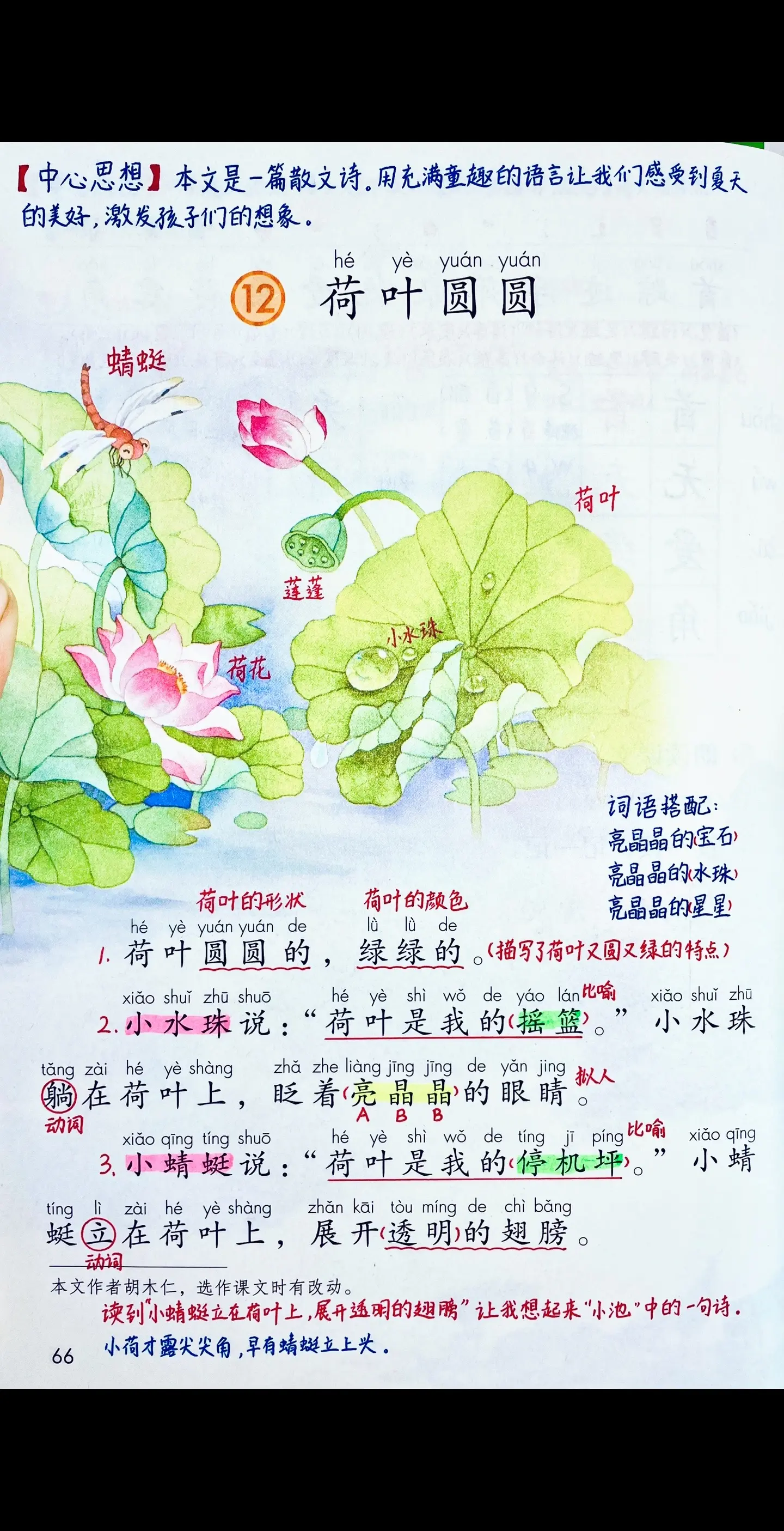 一年级语文下册《荷叶圆圆》笔记+练习题。