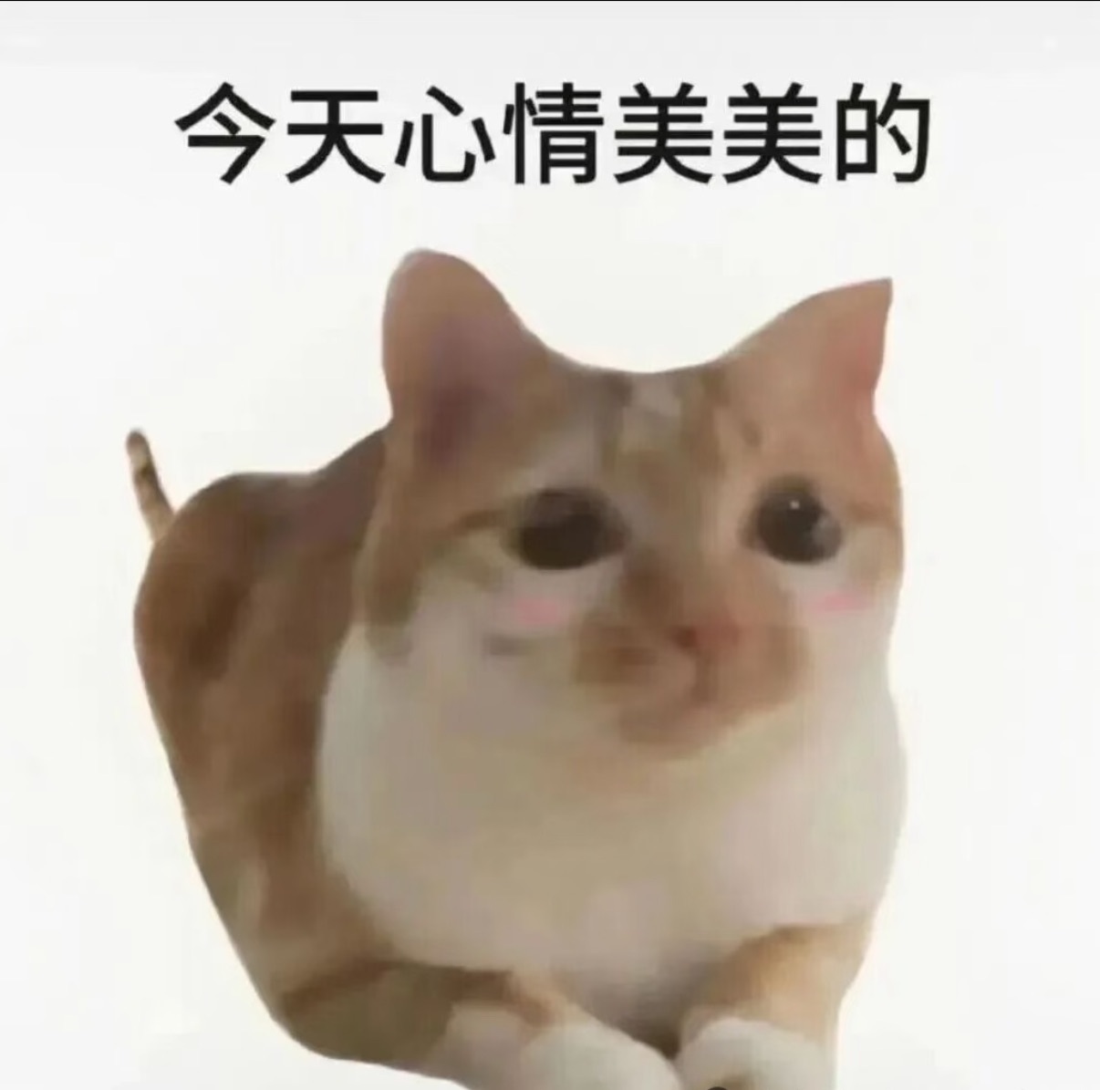 今年的秋一杯对眼睛很友好坐地铁时候突然刷到京东做的秋日艺术展，看着看着不知为何有