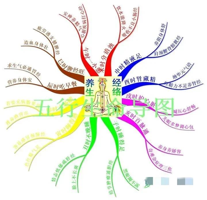 子午流注是中国古代的一种时间养生法，它可以帮助我们更好地规划养生时间。今天，我将