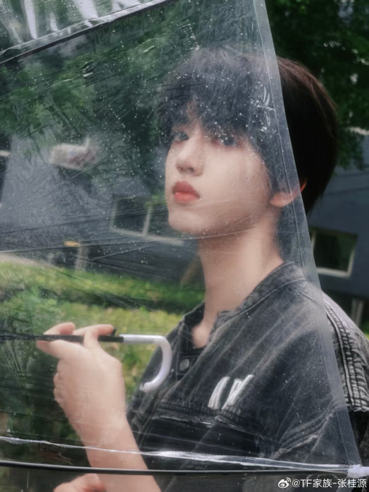 张桂源 只是一场小雨  爱像一场淅淅沥沥的小雨，而小雨包裹住了他的一切，但是张桂