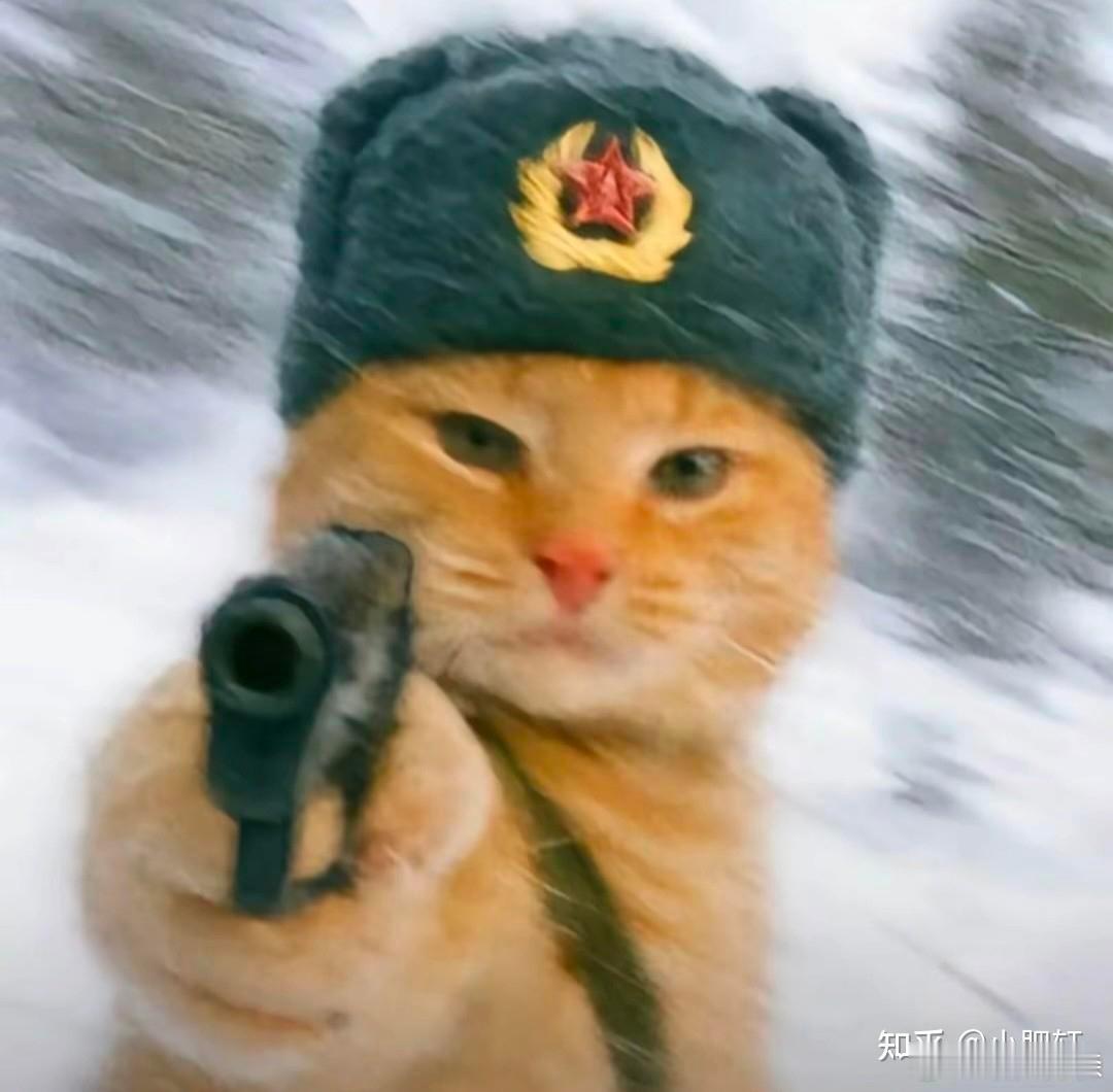 明家犯罪集团11人被执行死刑