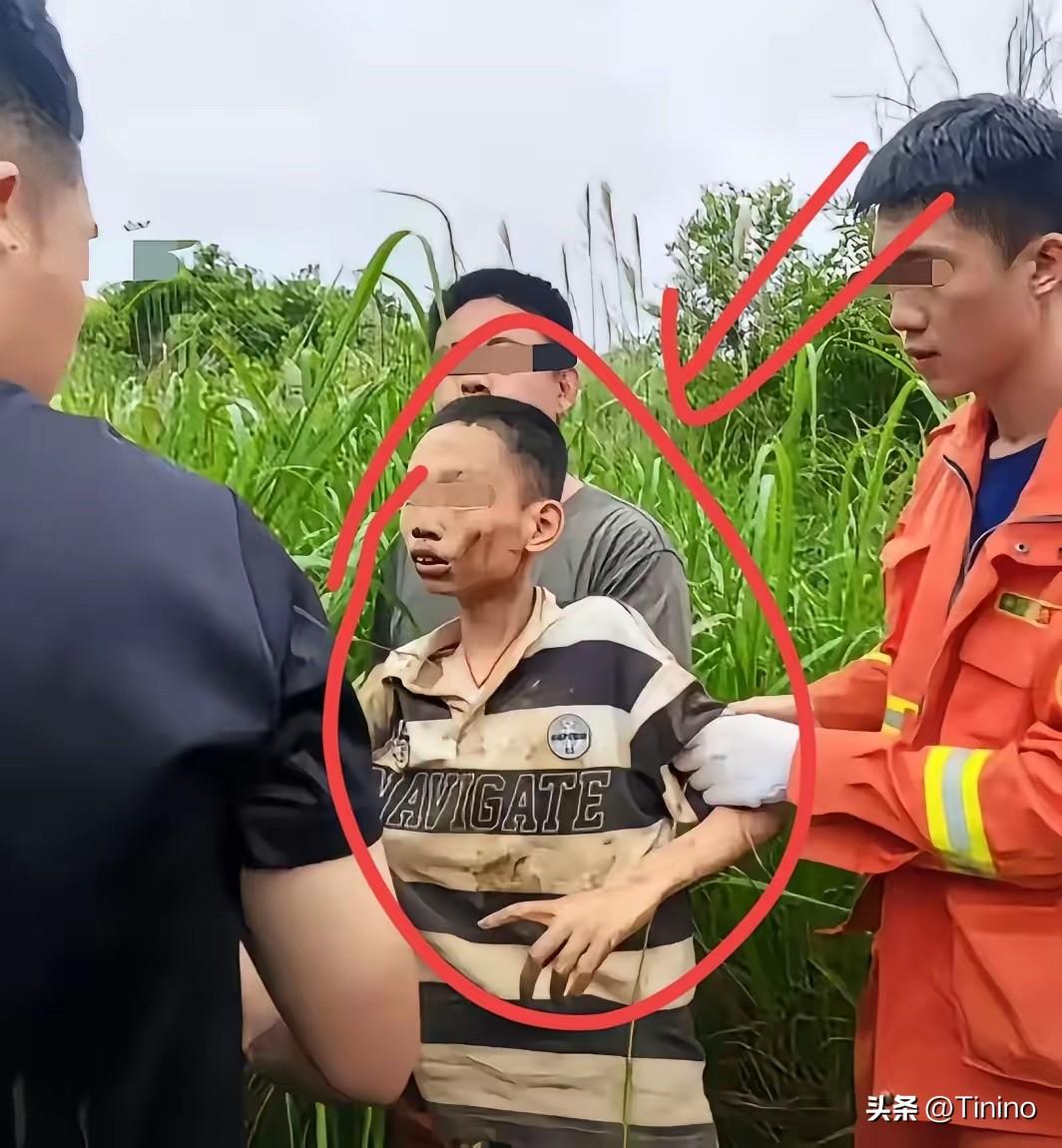 全网破防！200人搜救5天无果，妈妈一句话救回失踪孩子，太揪心了

看完这件事真