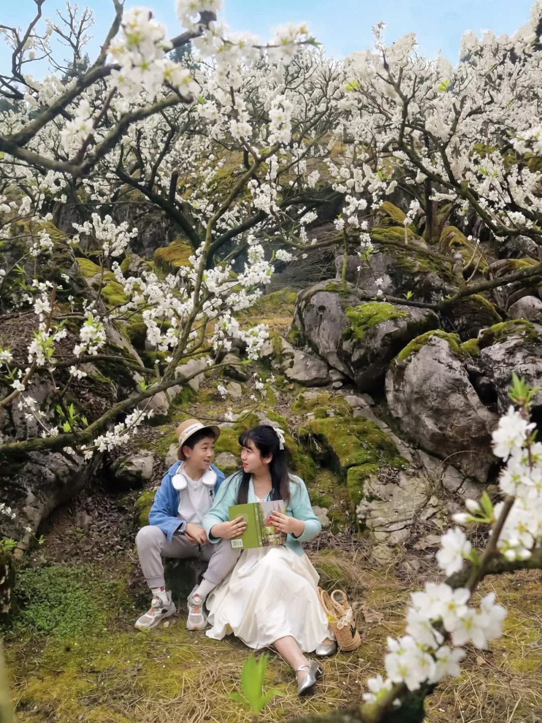 阳春三月带娃赴一场李花春雪！