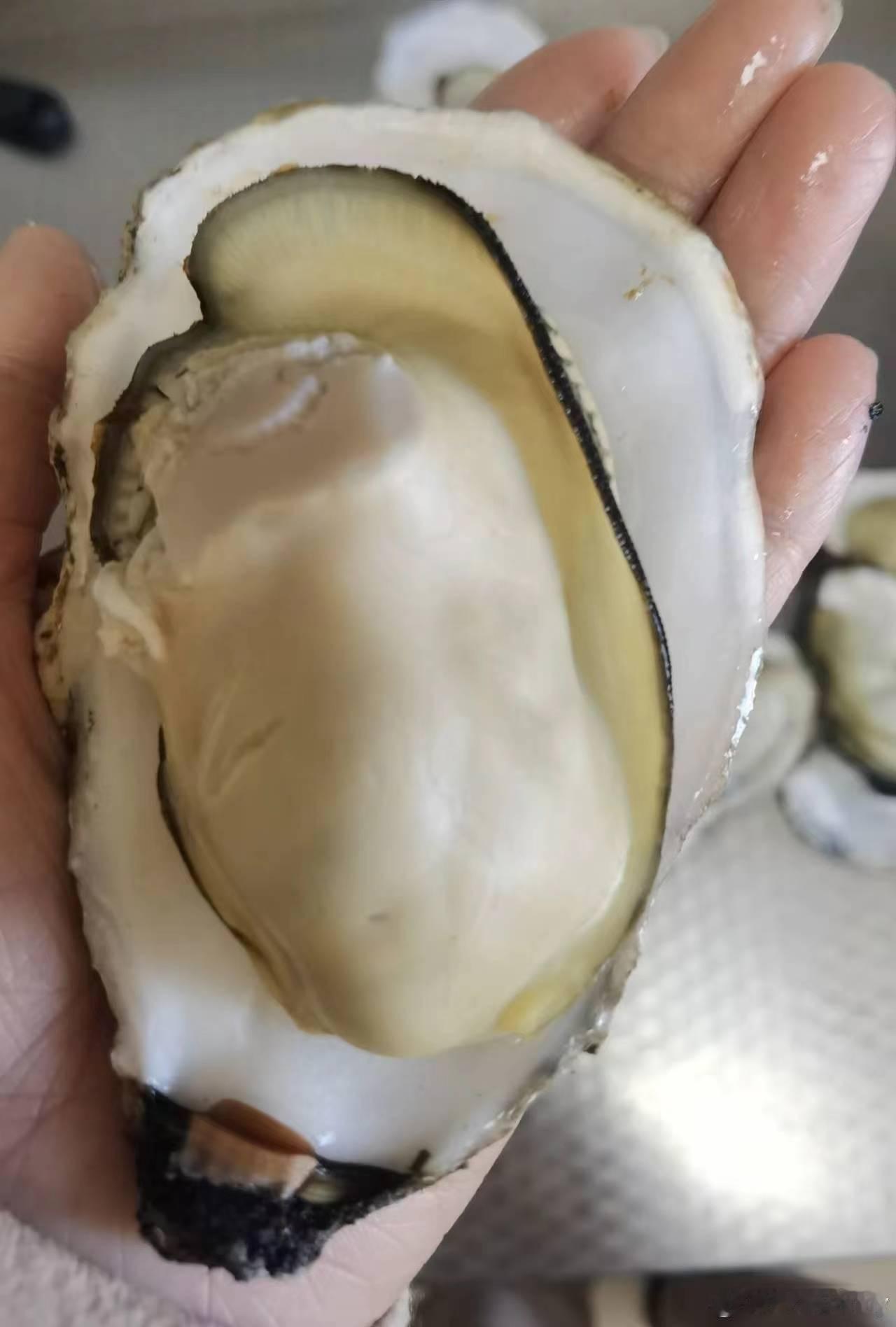 小黄车被推走 3 天，下单请到小微 benny2767 朋友圈第一条可下单