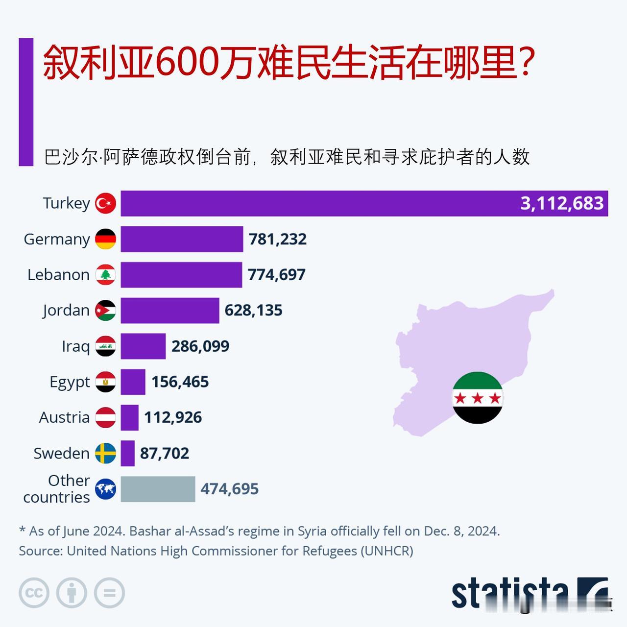 叙利亚600万难民生活在哪里？

2024年12月8日，叙利亚各反政府组织发动闪