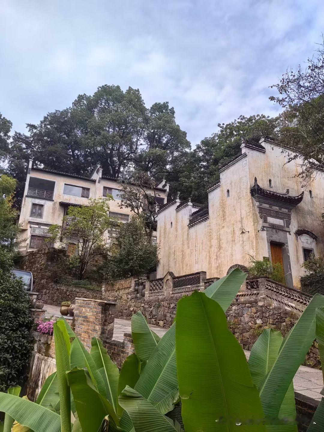 以前总信血浓于水，直到一场大病，才彻底撕开了亲情的遮羞布。

我和兄弟姐妹都在一