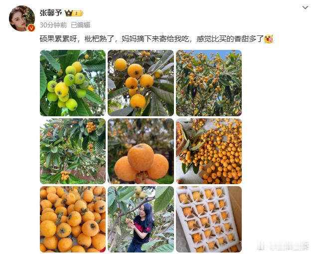 #张馨予晒妈妈# 张馨予晒妈妈摘枇杷照片，挑染蓝发好好看很潮，时尚又年轻，状态真
