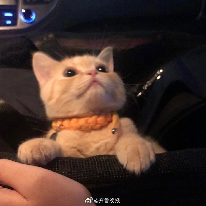 #早安# 愿所有的努力都不白费，遇见好时光，去感受时间的美好。 ​​​