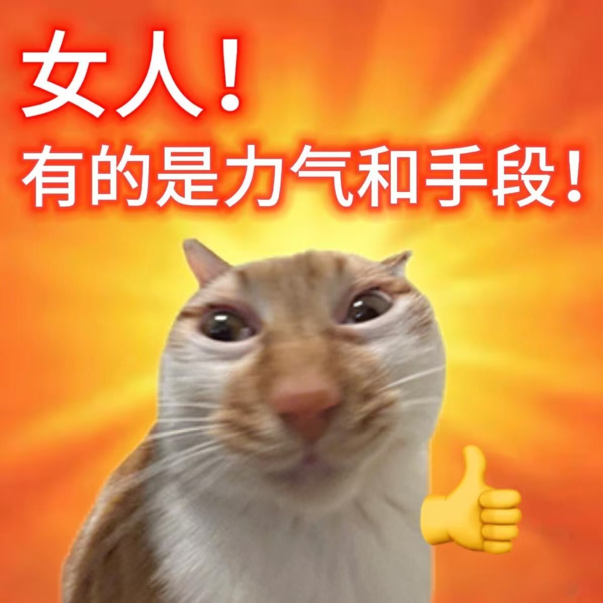 不同公司的妇女节福利 妇女节不必被定义，不必被安排，舒服自在就是最好的状态。放下