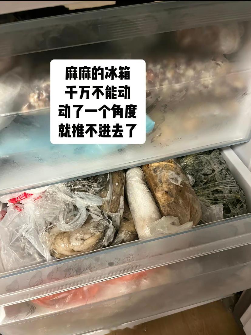 推回妈妈的冰箱比华容道难[允悲]#龙年造梗大赛##本命年许愿池# ​​​