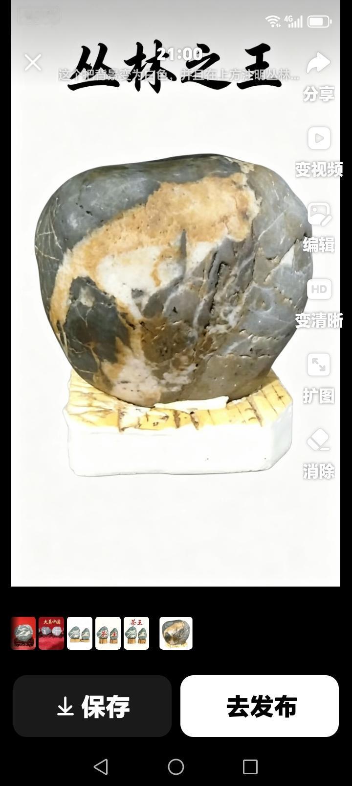 《丛林之王》