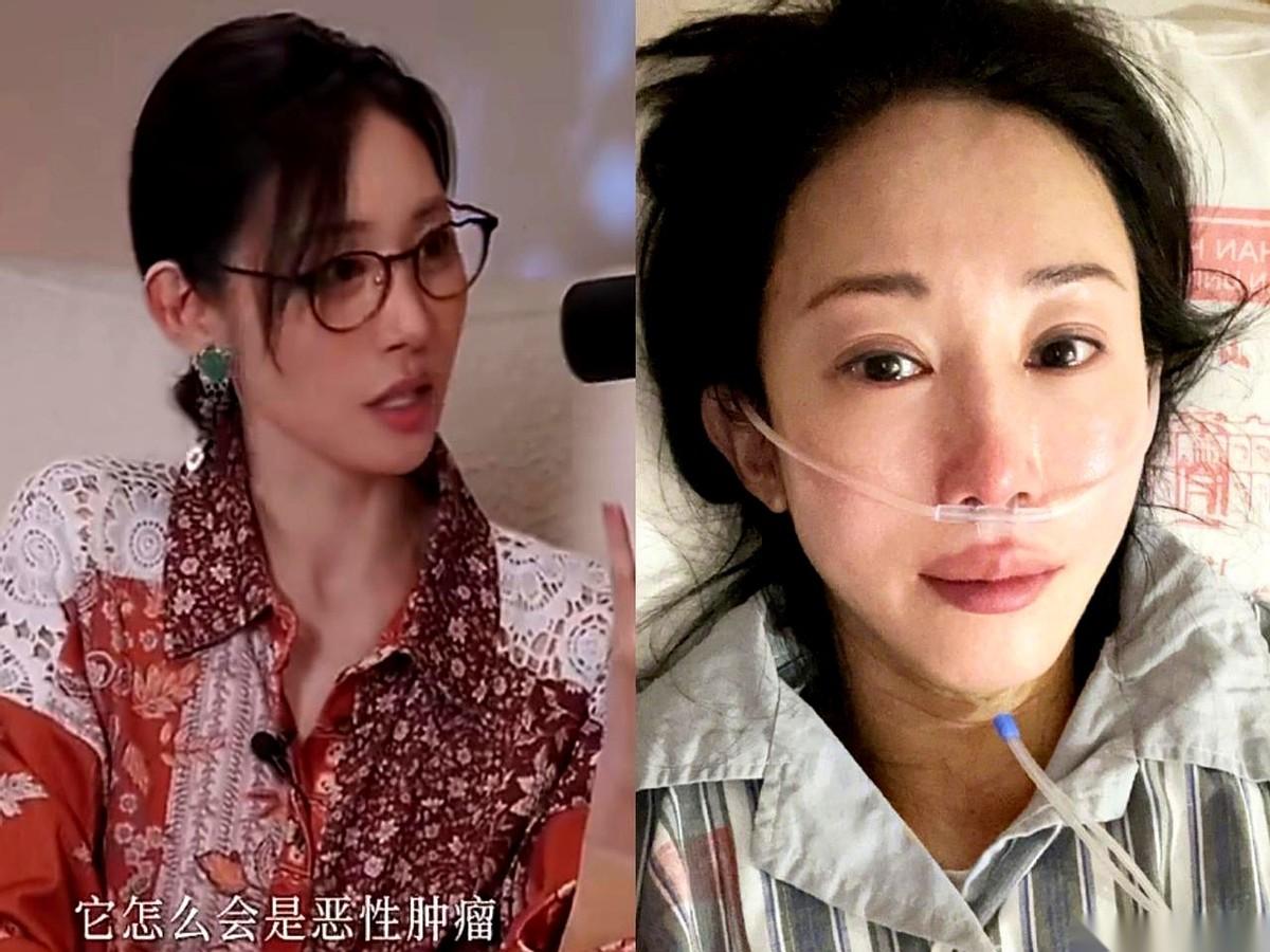 舞蹈家朱洁静，欠了前男友一条命。
那个男人，是第一个看出她身上那个“小疙瘩”不对